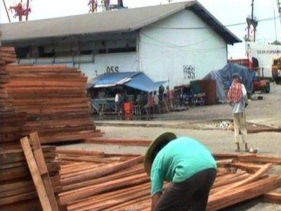 INDUSTRIA MADERA  IMAGENES FOTOS